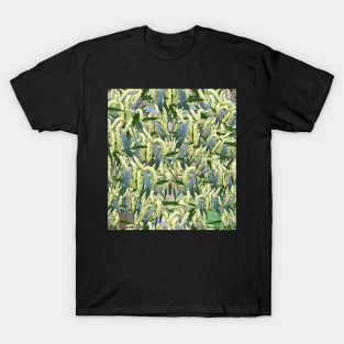 massed wattle blooms on textured background T-Shirt